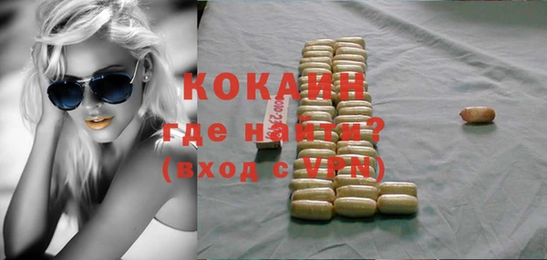 стаф Алзамай