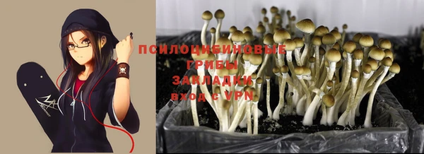 соль курить ск Алексин