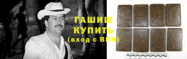 стаф Алзамай