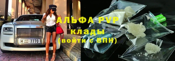стаф Алзамай