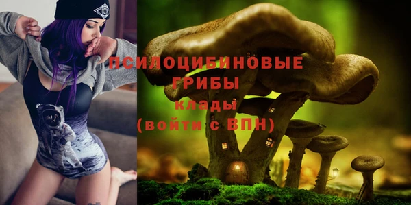 стаф Алзамай