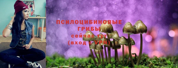 соль курить ск Алексин